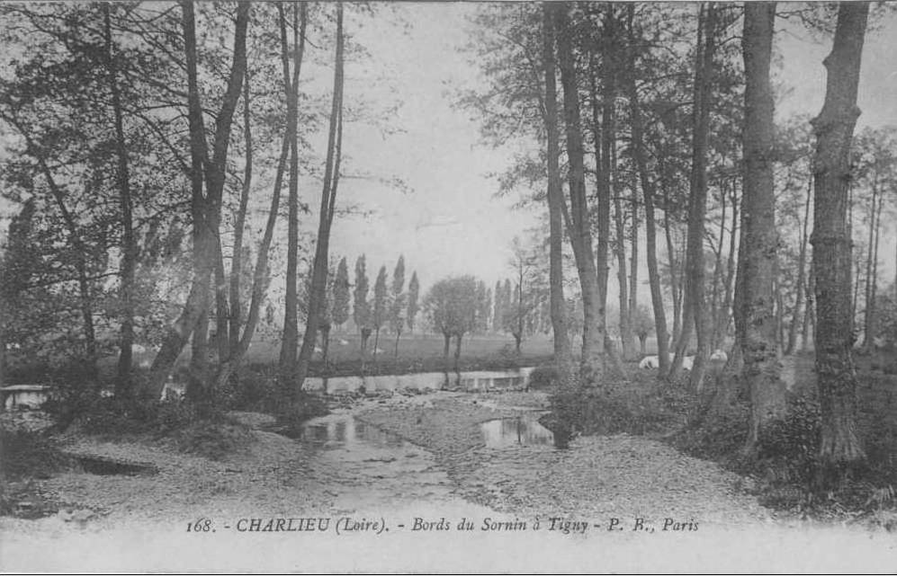 Le Sornin à Tigny Tigny